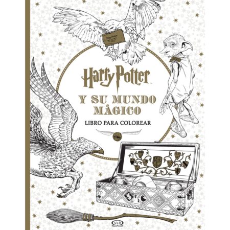 Harry Potter y su mundo mágico