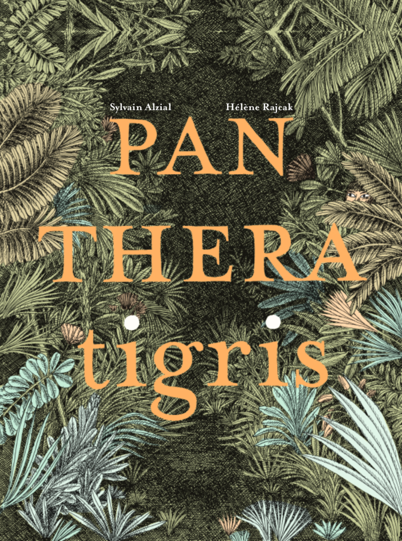 Panthera Tigris