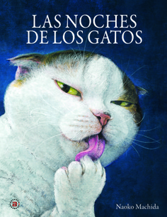 Las noches de los gatos.