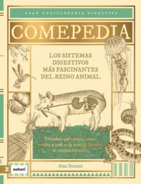 Comepedia.
